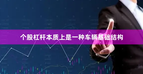 个股杠杆本质上是一种车辆基础结构